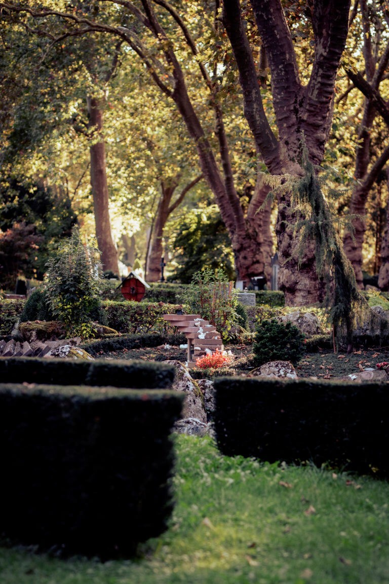 Ausschnitt aus dem Landschaftsgräberfeld „Mein letzter Garten“ auf dem Karlsruher Hauptfriedhof, mit naturnaher Gestaltung und integriertem Baumbestand.