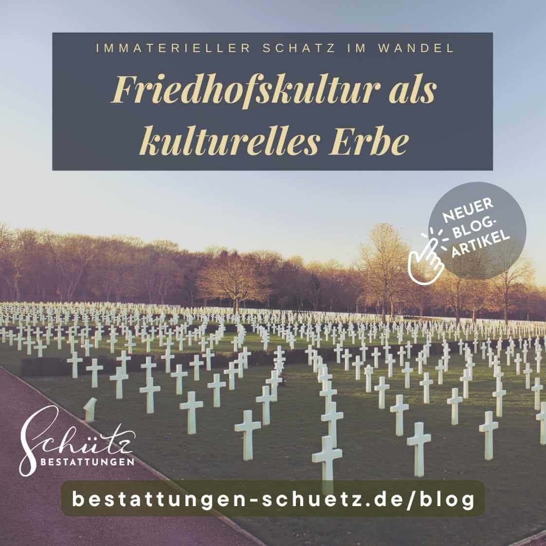 Friedhof mit zahlreichen weißen Grabkreuzen auf grünem Rasen in morgendlichem Licht, herbstliche Bäume ohne Laub und heller blauer Himmel.